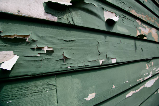 Best Composite Siding  in Montclair, VA