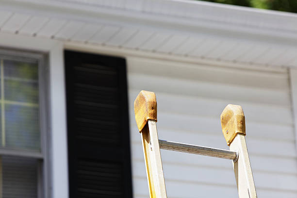 Best Custom Trim and Detailing for Siding  in Montclair, VA